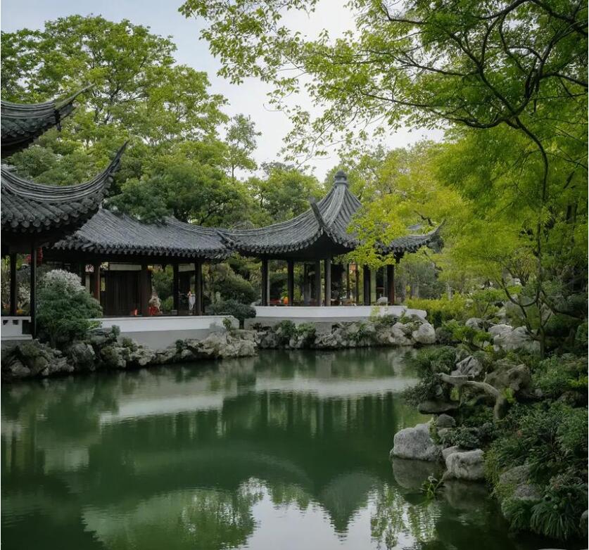 项城祸兮餐饮有限公司