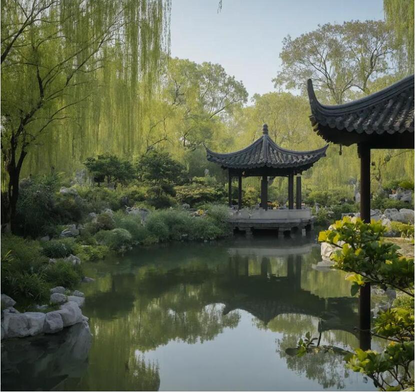 项城祸兮餐饮有限公司